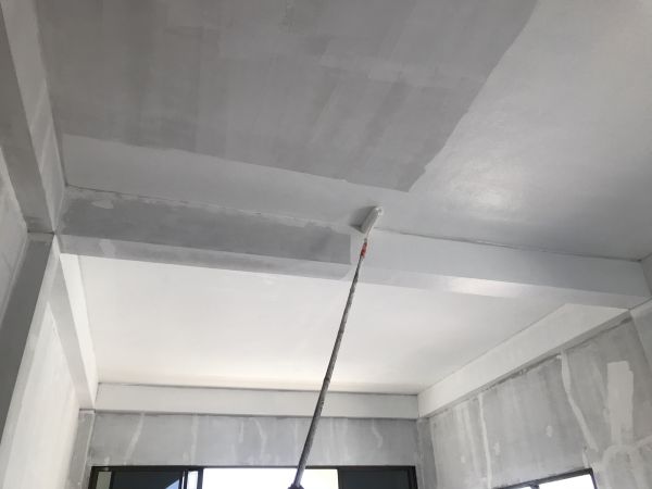 Ceiling Painting Service