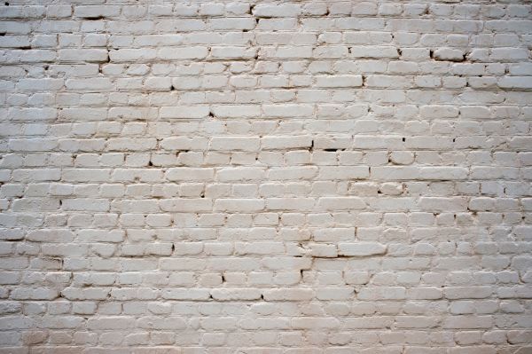 House Limewashing