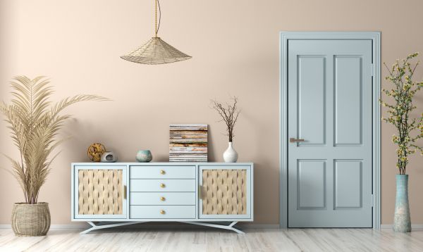 Interior Door Painting