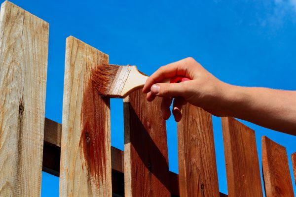 Fence Rejuvenation