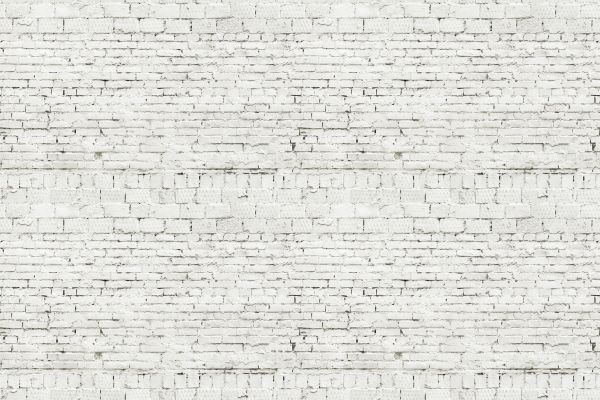 Brick Lime Painting Service