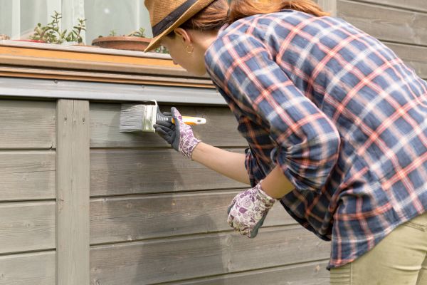 Outdoor Residential Painting