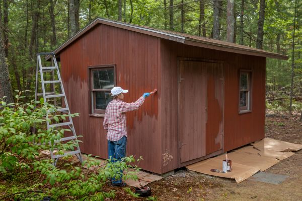 Shed Painting