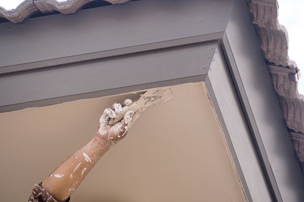 Exterior Concrete Painting