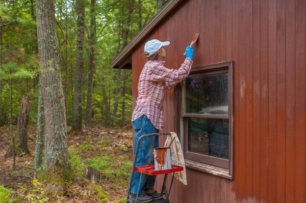 Shed Painting Service