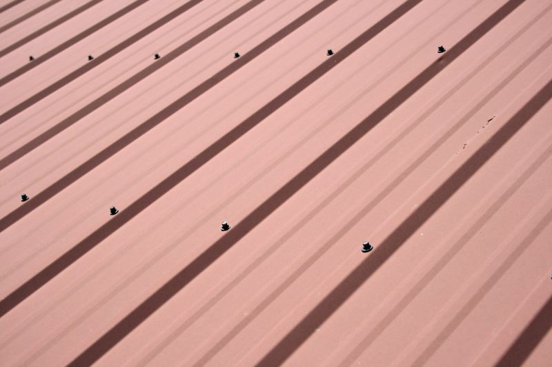 Metal Roof Painting detail