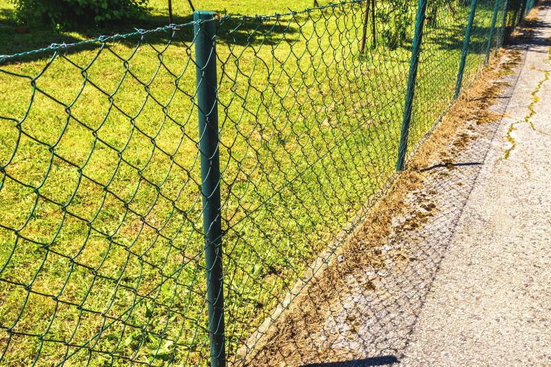 Metal Fence Painting